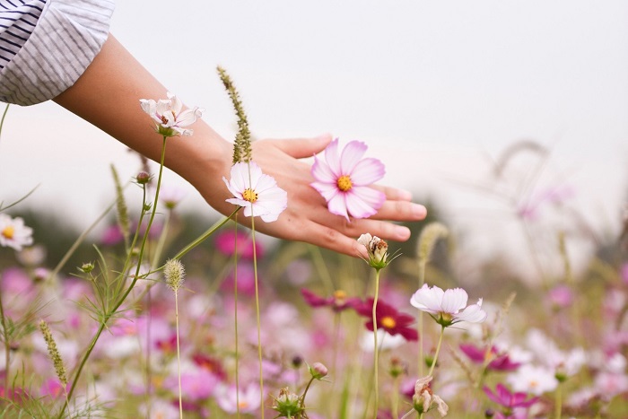 Christine Sirvent Castries Fleurs de Bach